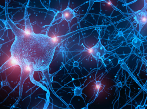 zvN0z5JKty6n54T2bzaZ8ozyN1VtM5BMkuGwDZuaBOc=_19bdb39c4e9:9840f5:d1b95a9e