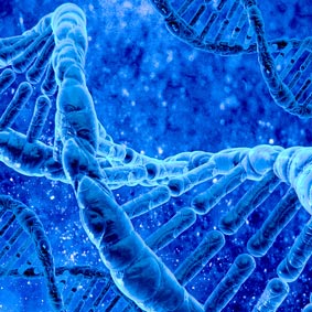 Bertarelli-Foundation-Gene-Therapy