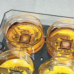 F1adka_250320_HCNP_1_ORE