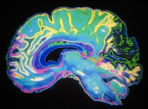 4rUCwGhlaOHE0GGTTeGcUIM129D9GSqIAjEJldPn5ro=_19b4b3ebe11:327b69:83157e50