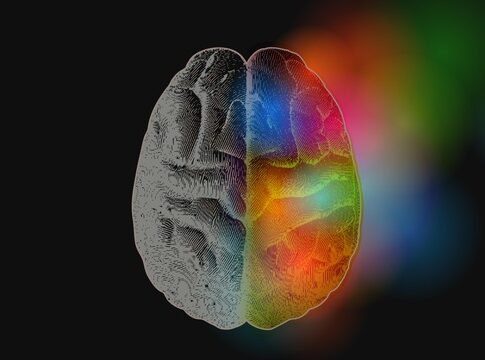 4rUCwGhlaOHE0GGTTeGcUIM129D9GSqIAjEJldPn5ro=_19b0f7a1835:2279f:20486928