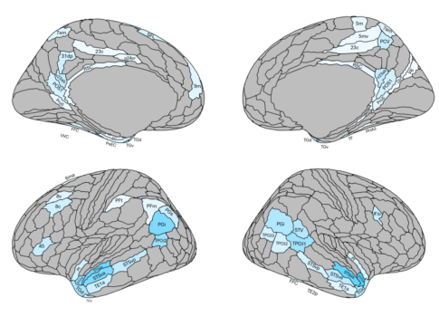 component1_pls_brainonly