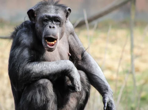 WkGnRnSakv3DPD4Yil9tFwtlLzfKT1Mjl9qRdYe/ehk=_19b07eca8d9:af2c71:2b98816f